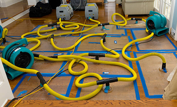 Professional Crawl Space Water Removal technician working in Darien, CT